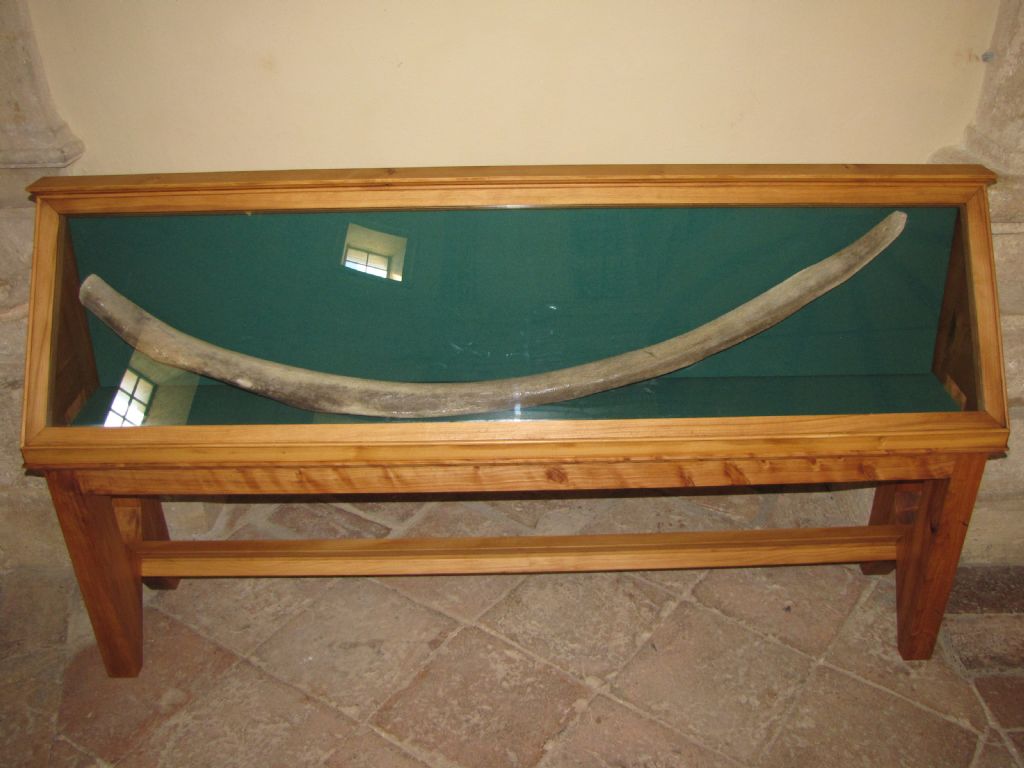 Aiuto nell''identificazione di osso animale